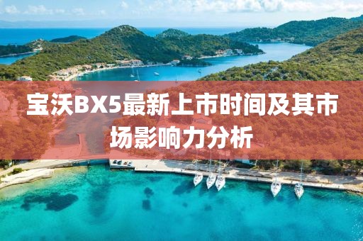 寶沃BX5最新上市時間及其市場影響力分析