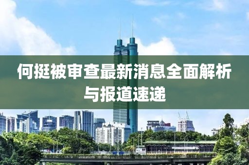 何挺被審查最新消息全面解析與報道速遞