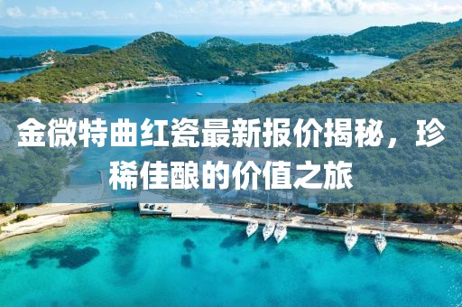 金微特曲紅瓷最新報價揭秘，珍稀佳釀的價值之旅