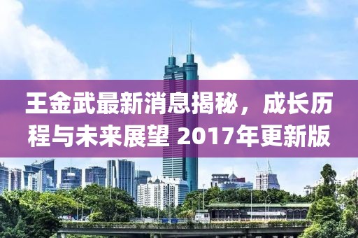 王金武最新消息揭秘，成長歷程與未來展望 2017年更新版