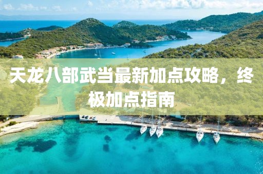 天龍八部武當最新加點攻略，終極加點指南