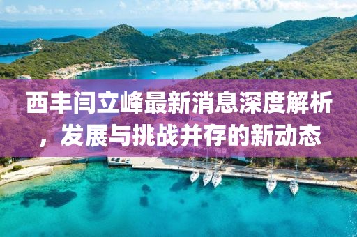 西豐閆立峰最新消息深度解析，發展與挑戰并存的新動態