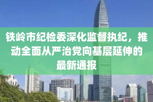 鐵嶺市紀檢委深化監督執紀，推動全面從嚴治黨向基層延伸的最新通報