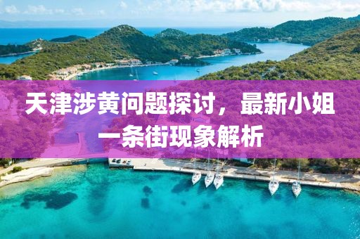 天津涉黃問題探討，最新小姐一條街現象解析