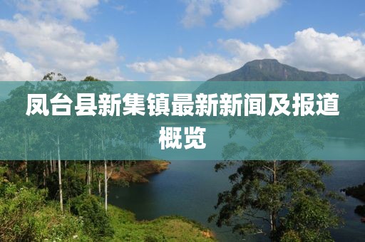 鳳臺縣新集鎮(zhèn)最新新聞及報道概覽