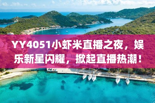 YY4051小蝦米直播之夜，娛樂新星閃耀，掀起直播熱潮！