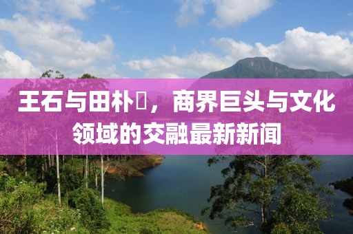 王石與田樸琤，商界巨頭與文化領(lǐng)域的交融最新新聞