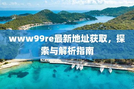 www99re最新地址獲取，探索與解析指南