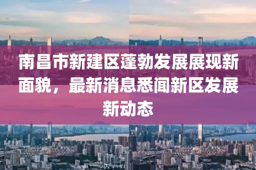 南昌市新建區蓬勃發展展現新面貌，最新消息悉聞新區發展新動態