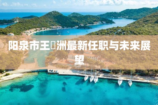 陽泉市王湜洲最新任職與未來展望