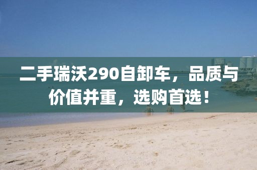 二手瑞沃290自卸車，品質與價值并重，選購首選！