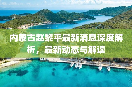 內蒙古趙黎平最新消息深度解析，最新動態與解讀