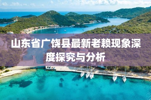 山東省廣饒縣最新老賴現象深度探究與分析