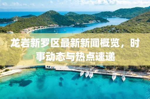 龍巖新羅區最新新聞概覽，時事動態與熱點速遞