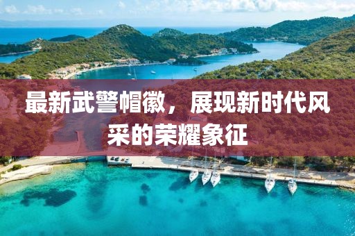 最新武警帽徽，展現(xiàn)新時代風(fēng)采的榮耀象征