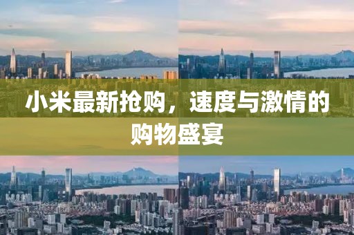小米最新?lián)屬?，速度與激情的購物盛宴