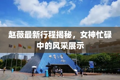 趙薇最新行程揭秘，女神忙碌中的風(fēng)采展示