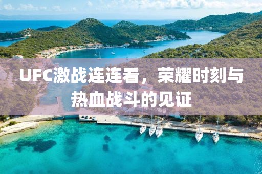 UFC激戰連連看，榮耀時刻與熱血戰斗的見證