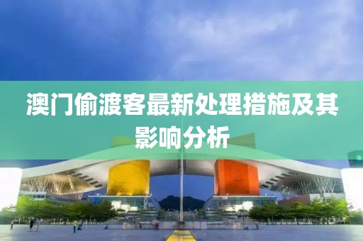 澳門偷渡客最新處理措施及其影響分析