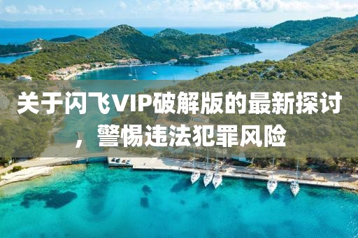 關于閃飛VIP破解版的最新探討，警惕違法犯罪風險