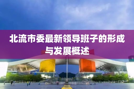 北流市委最新領導班子的形成與發展概述