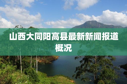 山西大同陽高縣最新新聞報道概況