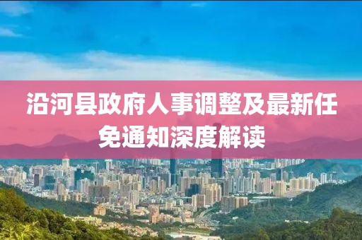 沿河縣政府人事調(diào)整及最新任免通知深度解讀