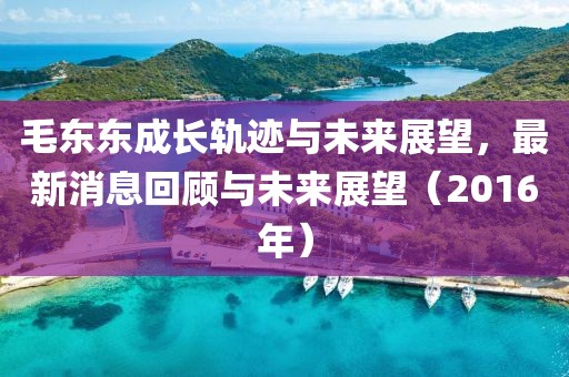 毛東東成長軌跡與未來展望，最新消息回顧與未來展望（2016年）