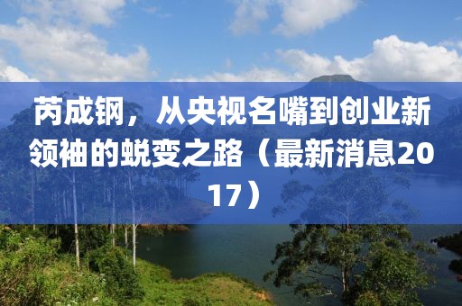 芮成鋼，從央視名嘴到創業新領袖的蛻變之路（最新消息2017）