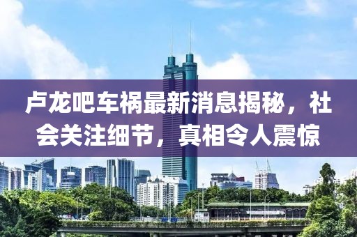 盧龍吧車禍最新消息揭秘，社會關注細節，真相令人震驚