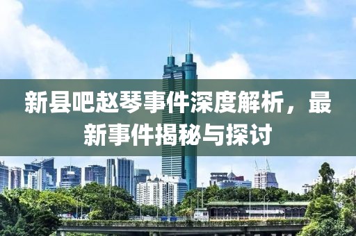 新縣吧趙琴事件深度解析，最新事件揭秘與探討