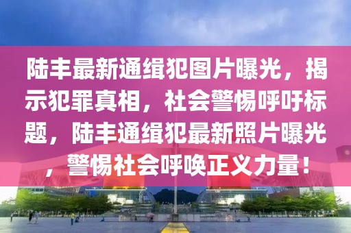 陸豐最新通緝犯圖片曝光，揭示犯罪真相，社會警惕呼吁標題，陸豐通緝犯最新照片曝光，警惕社會呼喚正義力量！