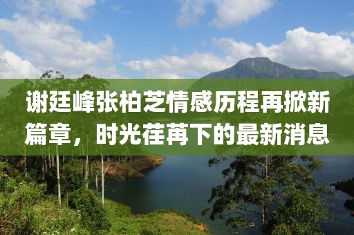 謝廷峰張柏芝情感歷程再掀新篇章，時光荏苒下的最新消息