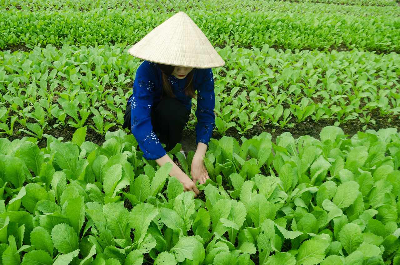 青島膠州膠萊區域發展最新動態與前景展望