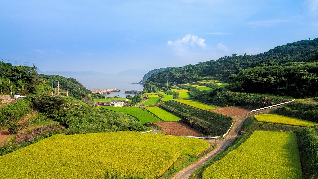 廣西靈山高速建設進展揭秘，最新消息與未來展望