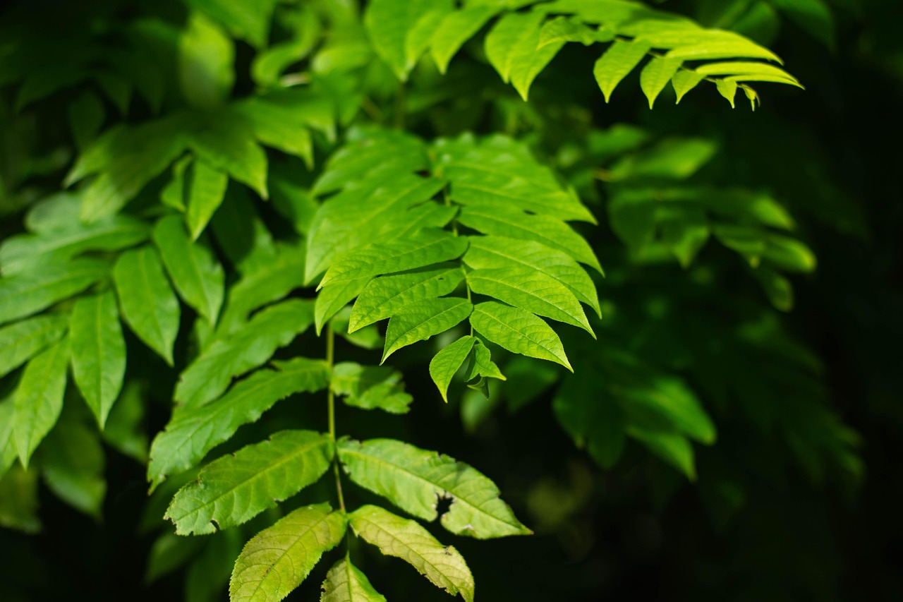 北海水印泉山最新動態，城市發展與綠色生態的和諧共鳴